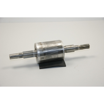 Ersatz-Rotor 230V für ESW 500 Pos. 66 #0619950066