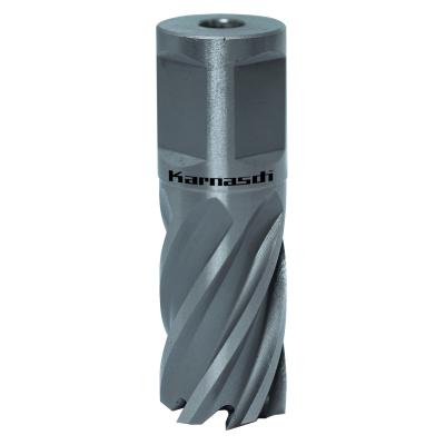 Kernbohrer SILVER-LINE 25 Weldon, Ø 14 mm