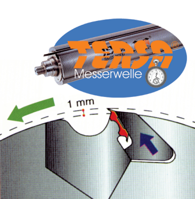 Abricht-Dickenhobel-Maschine minimax fs 41e TERSA