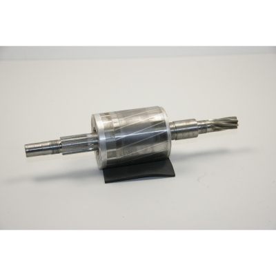 Ersatz-Rotor 230V für ESW 500 Pos. 66 #0619950066