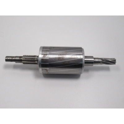 Ersatz-Rotor 230V für ESW 800 Pos. 66 #0619980066