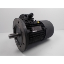 Ersatz-Motor 400V 2,2kW (IE3 Version) 868505 für Absauganlage RLA 125,140,160 Pos. 5 #0513868505