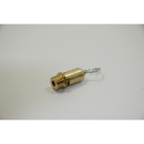 Ersatz-Sicherheitsventil für Kompressor 1/4" 8,3bar PED+RING #09049200